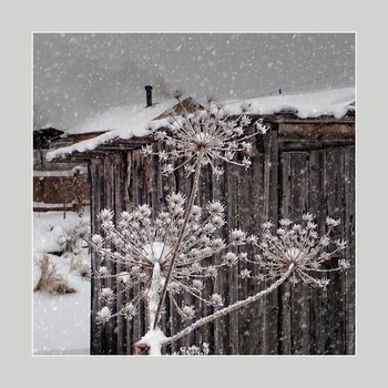 &nbsp; / music: Green Sleeves · John D'Ercole
https://www.youtube.com/watch?v=QIxk97Qy0PY