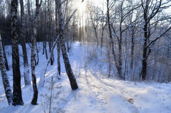 Winter landscape / ***