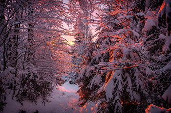 Sonnenuntergang / Sonnenuntergang im Böhmerwald