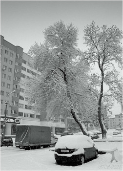 After snowfall / ***