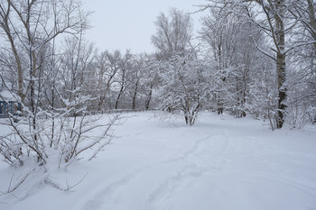 Gerade im Winter / ***