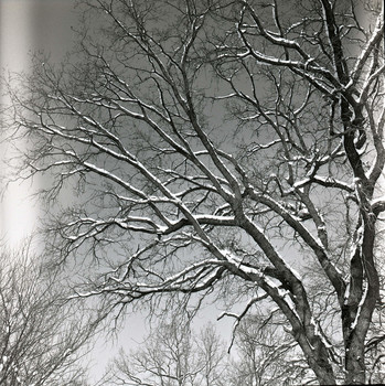 &nbsp; / KODAK_400TX_120