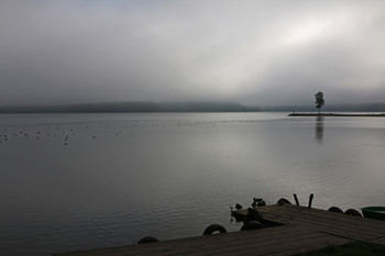 Foggy morning / ***