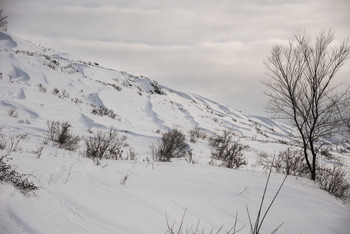 &nbsp; / [img]https://i.imgur.com/Pw6MxC5.jpg[/img]
