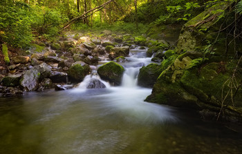Wasserfall / ***