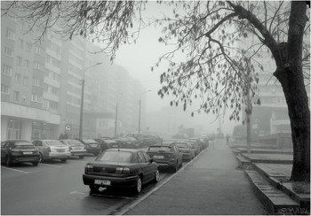 Abendnebel / ***