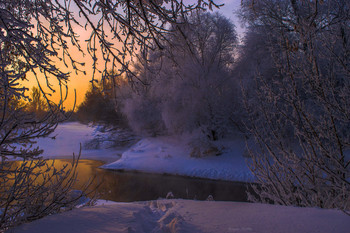 frosty dawn / ...