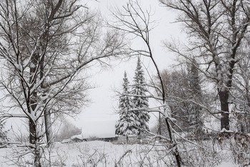 &nbsp; / [img]https://i.imgur.com/yYzXsSG.jpg[/img]
