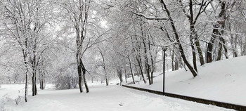 snow is falling... / ***