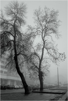 Abendnebel / [img]https://i.imgur.com/2sBIUyC.jpg[/img]