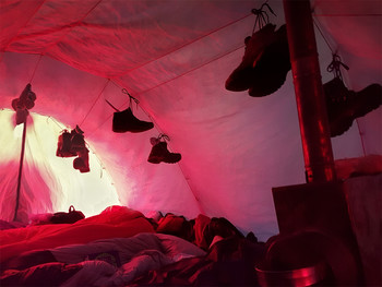 Pink Dreams / ***
