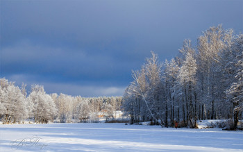Winter-Teich / ***