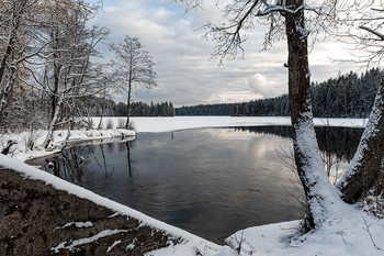 Winter comes / ***