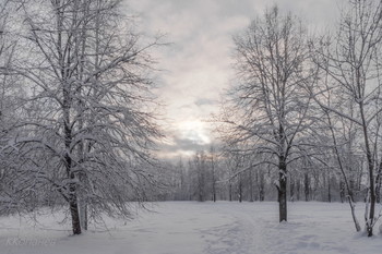 Wetter wieder ... / ***