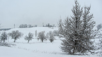 Winter morning / ***