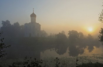 Foggy morning / ***