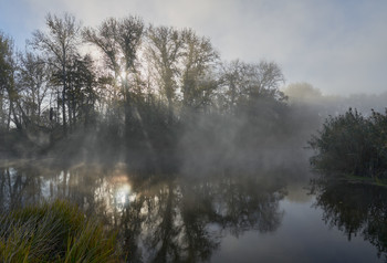 Oktober Nebel / ***