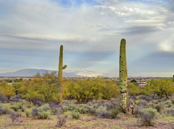  / Tucson city, Arizona, USA
