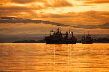 Kamchatka / ***