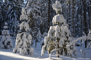 Nach Schneefall / ...