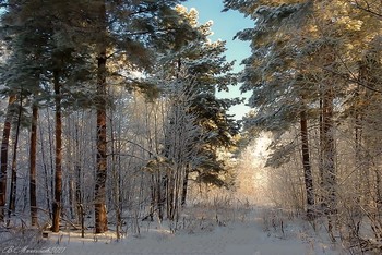 Winter / ...