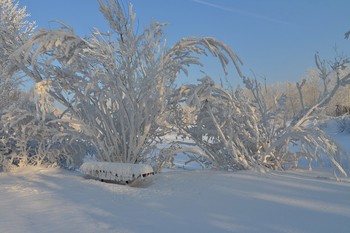 im verschneiten Dekoration / ***