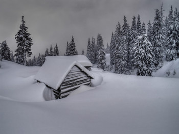black and white winter / [img]https://i.imgur.com/YxPmi6b.jpg[/img]
[img]https://i.imgur.com/FJ9wWuD.jpg[/img]
