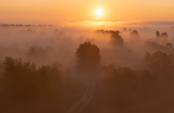 Nebliger Morgen / ***