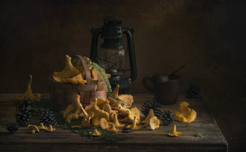 Chanterelles / ***