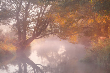 warm september / ***
