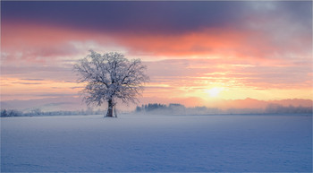 Wintermorgen / Morgens im Aichfeld in der Steiermark.