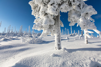 Ein kalter Tag / Winterlandschaft im Böhmerwald