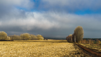 Herbst / ***