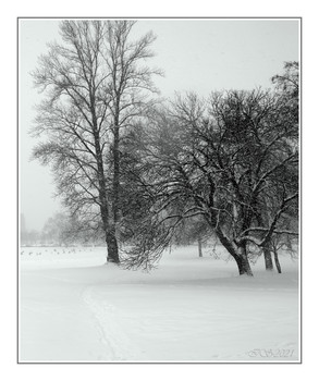 Winter-Etüde / ***