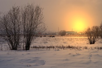 Winter evening ... / ***