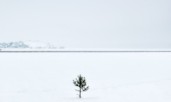 A Fine Line / ***