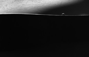 A Fine Line / ***