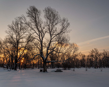 In the light of sunset. / ***
