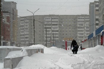 Snowfall. / ***