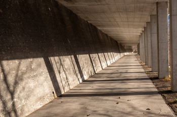 Galeriebilder / Schatten