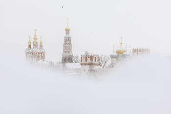 Winter / ***