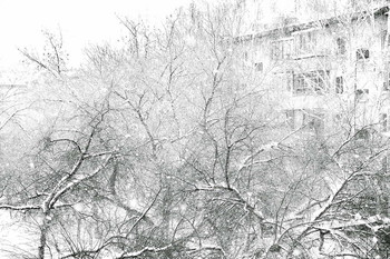 Schneefall. / ***