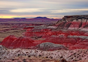 &nbsp; / in Petrified Forest National Park, Arizona, USA
