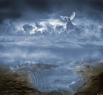 Herd / ***