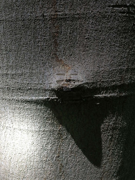 Stand by me / Wer bist Du?