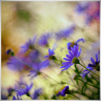  / For you Julija. :)