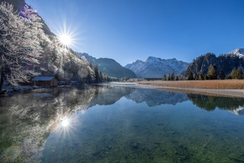 Almsee / Frostiger Morgen am Almsee