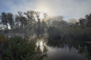 October fogs / ***