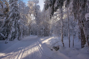Winter / ***