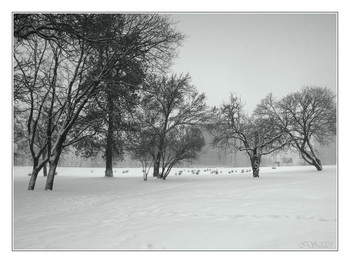 Winter-Etüde / ***